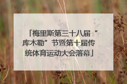 梅里斯第三十八届“库木勒”节暨第十届传统体育运动大会落幕