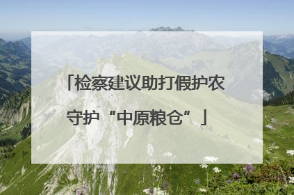 检察建议助打假护农守护“中原粮仓”