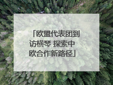 欧盟代表团到访横琴 探索中欧合作新路径