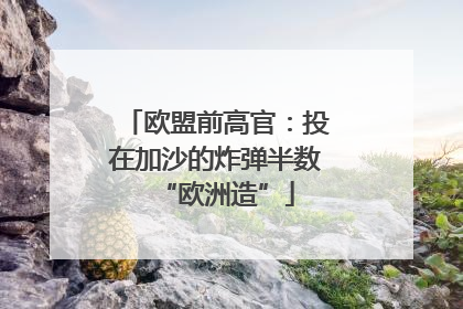 欧盟前高官：投在加沙的炸弹半数“欧洲造”