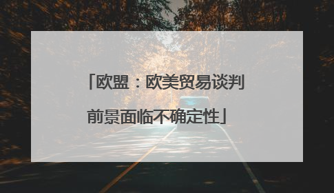 欧盟：欧美贸易谈判前景面临不确定性