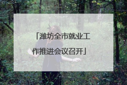 潍坊全市就业工作推进会议召开