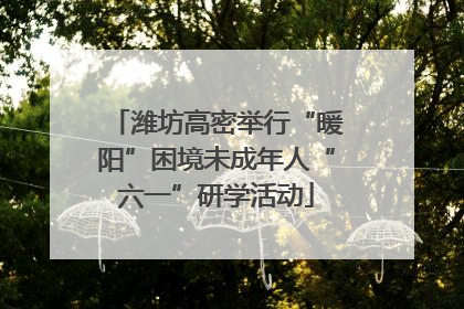 潍坊高密举行“暖阳”困境未成年人“六一”研学活动
