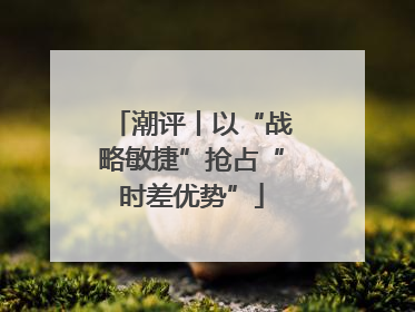 潮评丨以“战略敏捷”抢占“时差优势”