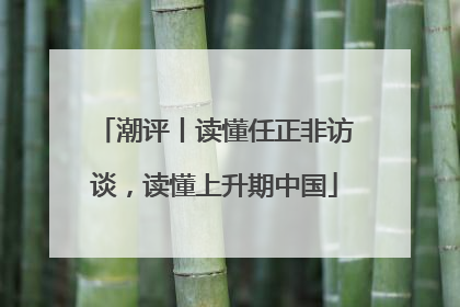 潮评丨读懂任正非访谈，读懂上升期中国