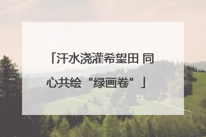 汗水浇灌希望田 同心共绘“绿画卷”