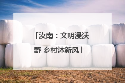 汝南：文明浸沃野 乡村沐新风