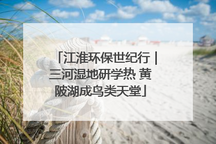 江淮环保世纪行｜三河湿地研学热 黄陂湖成鸟类天堂