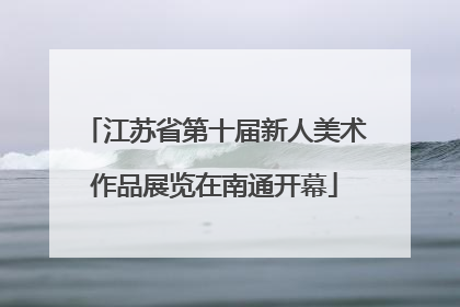 江苏省第十届新人美术作品展览在南通开幕