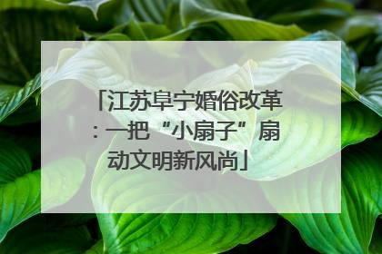 江苏阜宁婚俗改革：一把“小扇子”扇动文明新风尚