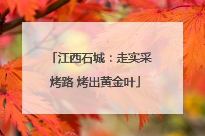 江西石城：走实采烤路 烤出黄金叶