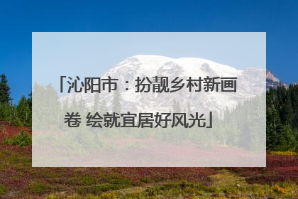 沁阳市：扮靓乡村新画卷 绘就宜居好风光