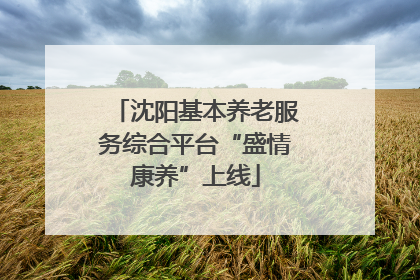 沈阳基本养老服务综合平台“盛情康养”上线