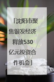 沈阳市聚焦银发经济释放530亿元投资合作机会