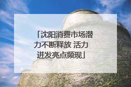 沈阳消费市场潜力不断释放 活力迸发亮点频现