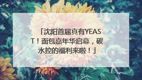 沈阳首届真有YEAST！面包嘉年华启幕，碳水控的福利来啦！