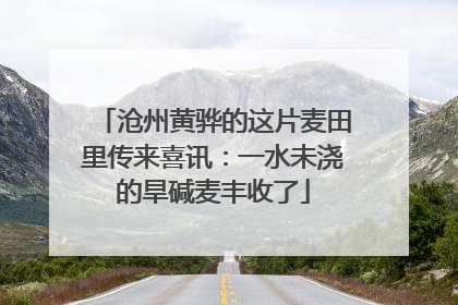 沧州黄骅的这片麦田里传来喜讯：一水未浇的旱碱麦丰收了