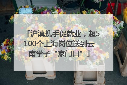 沪滇携手促就业，超5100个上海岗位送到云南学子“家门口”