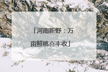 河南新野：万亩鲜桃喜丰收