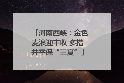 河南西峡：金色麦浪迎丰收 多措并举保“三夏”