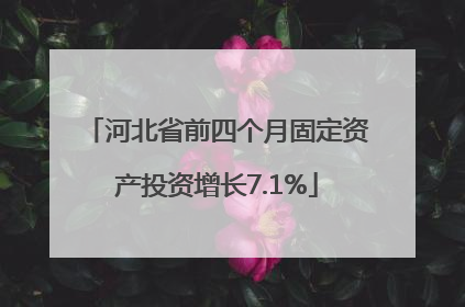 河北省前四个月固定资产投资增长7.1%