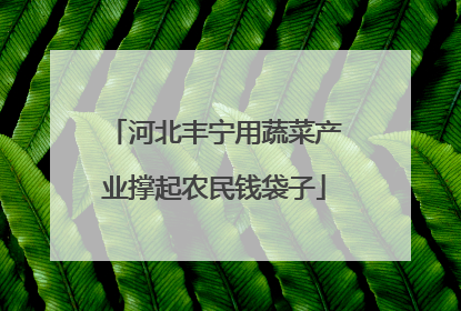 河北丰宁用蔬菜产业撑起农民钱袋子
