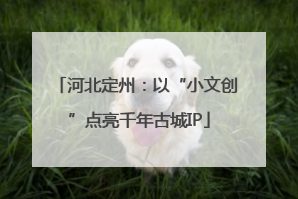 河北定州：以“小文创”点亮千年古城IP