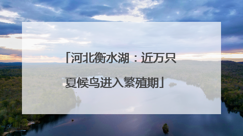 河北衡水湖：近万只夏候鸟进入繁殖期