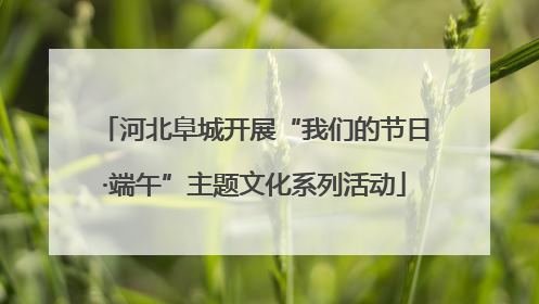 河北阜城开展“我们的节日·端午”主题文化系列活动