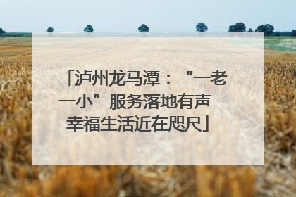 泸州龙马潭：“一老一小”服务落地有声 幸福生活近在咫尺