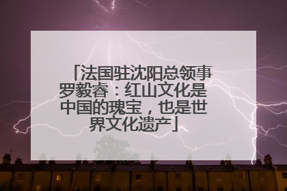 法国驻沈阳总领事罗毅睿：红山文化是中国的瑰宝，也是世界文化遗产