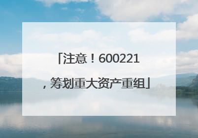 注意！600221，筹划重大资产重组