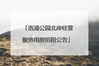 洛浦公园北岸经营服务用房招租公告