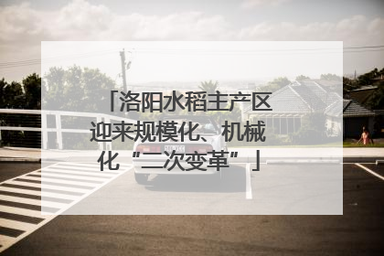 洛阳水稻主产区迎来规模化、机械化“二次变革”