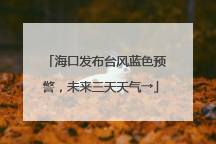 海口发布台风蓝色预警，未来三天天气→