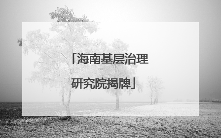 海南基层治理研究院揭牌