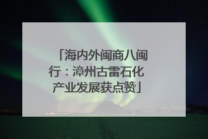 海内外闽商八闽行：漳州古雷石化产业发展获点赞