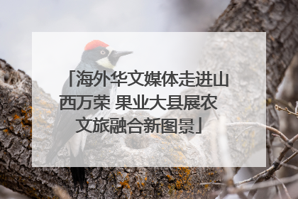 海外华文媒体走进山西万荣 果业大县展农文旅融合新图景