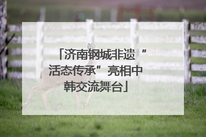 济南钢城非遗“活态传承”亮相中韩交流舞台