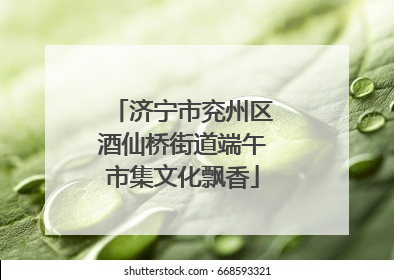 济宁市兖州区酒仙桥街道端午市集文化飘香