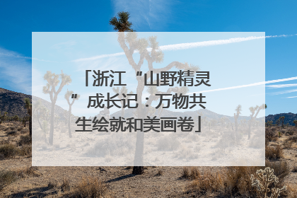 浙江“山野精灵”成长记：万物共生绘就和美画卷