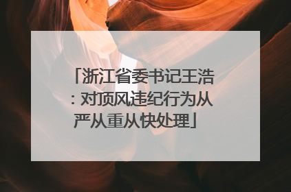 浙江省委书记王浩：对顶风违纪行为从严从重从快处理