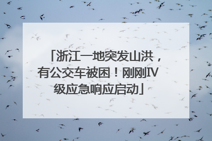 浙江一地突发山洪，有公交车被困！刚刚Ⅳ级应急响应启动
