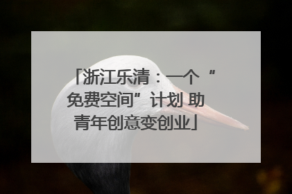 浙江乐清：一个“免费空间”计划 助青年创意变创业