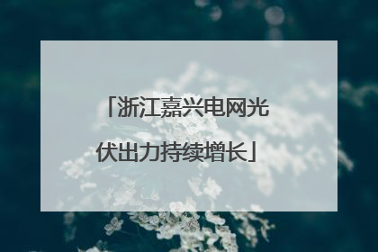 浙江嘉兴电网光伏出力持续增长
