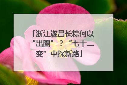 浙江遂昌长粽何以“出圈”？“七十二变”中探新路