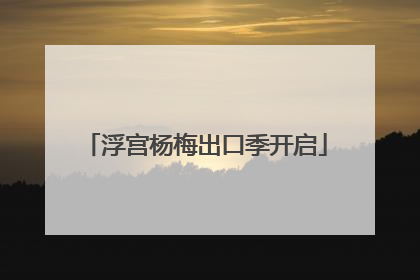浮宫杨梅出口季开启