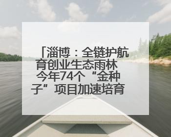 淄博：全链护航育创业生态雨林 今年74个“金种子”项目加速培育 政策性扶持创业9754人