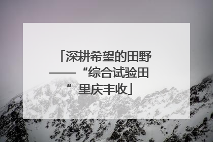 深耕希望的田野——“综合试验田”里庆丰收