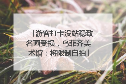 游客打卡没站稳致名画受损，乌菲齐美术馆：将限制自拍